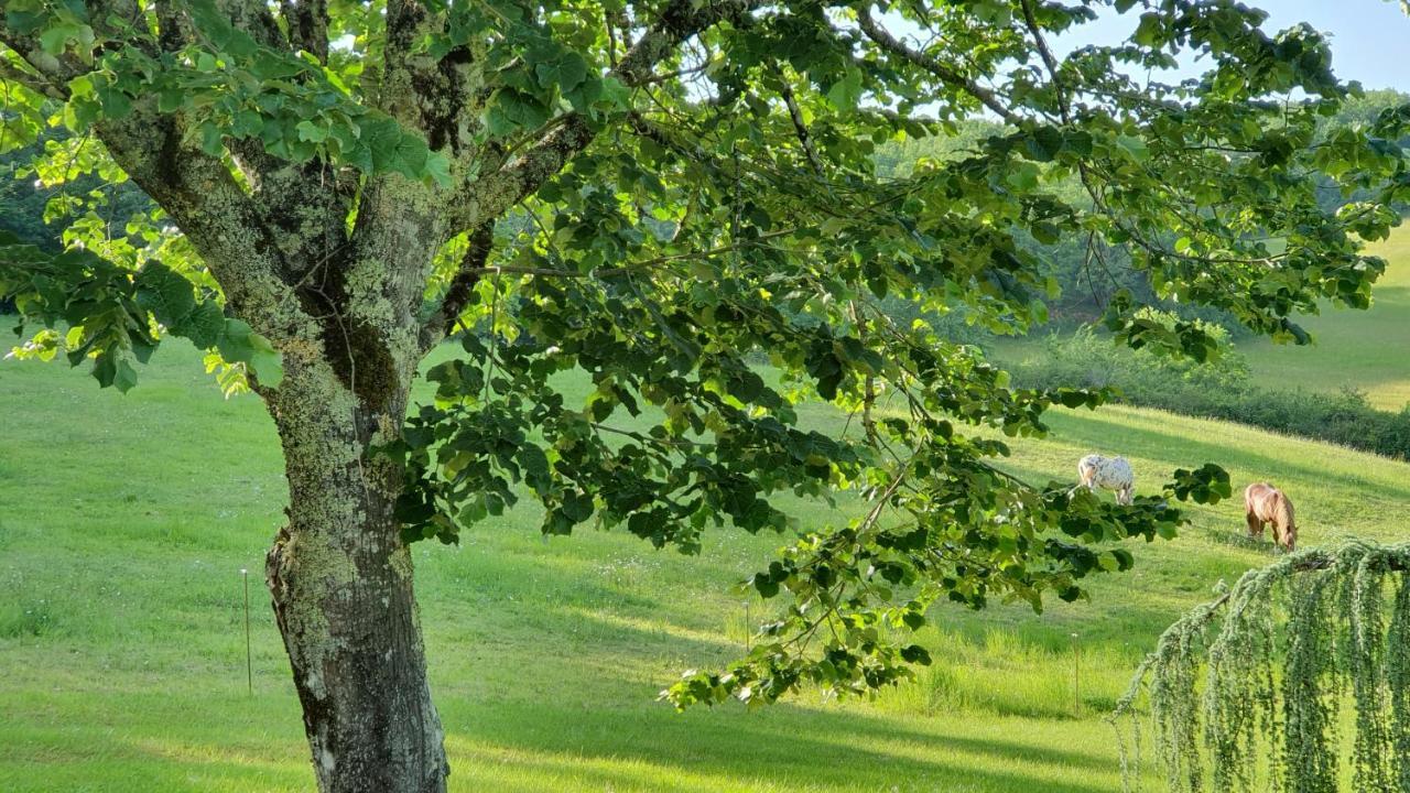 Domaine Du Cardou Hotel Puy-lʼÉvêque Kültér fotó