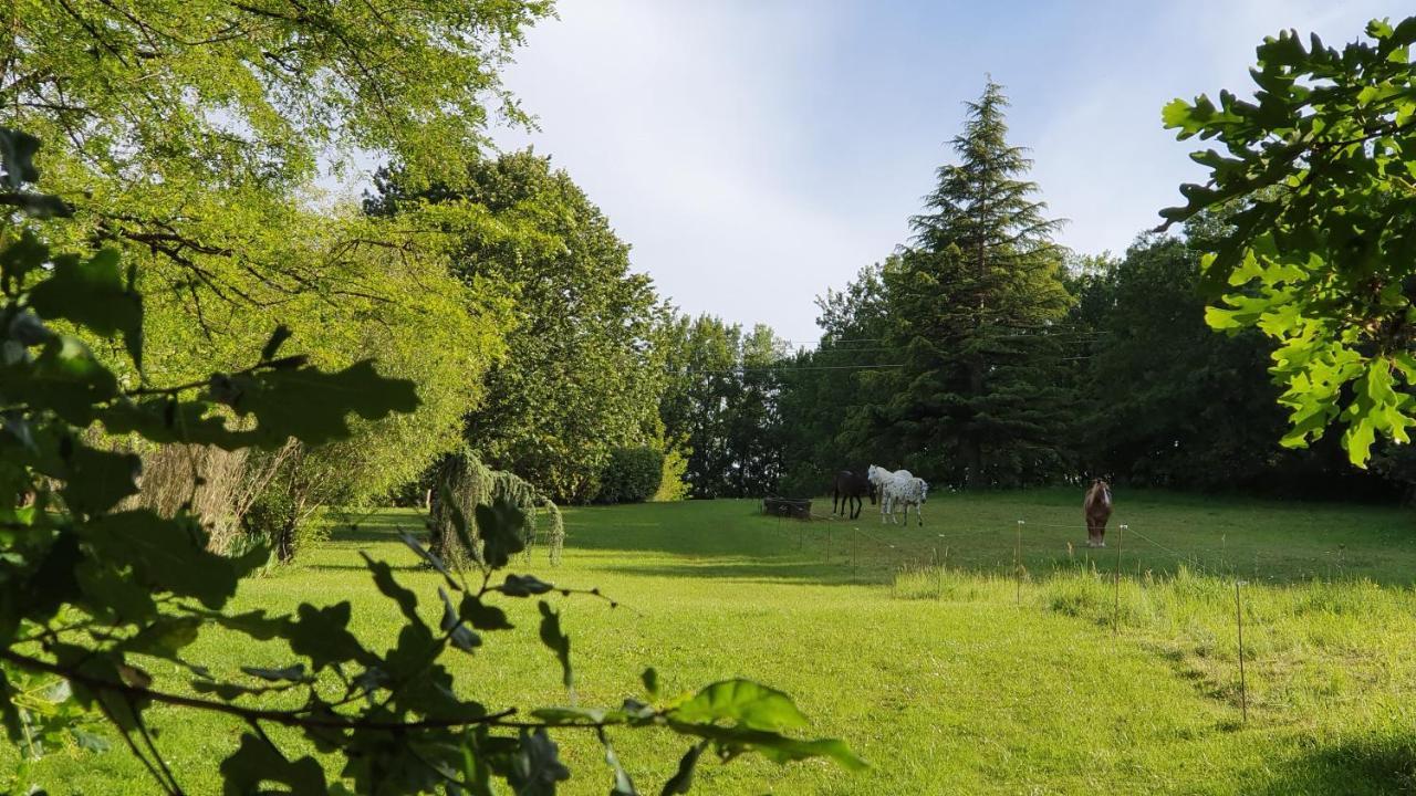 Domaine Du Cardou Hotel Puy-lʼÉvêque Kültér fotó