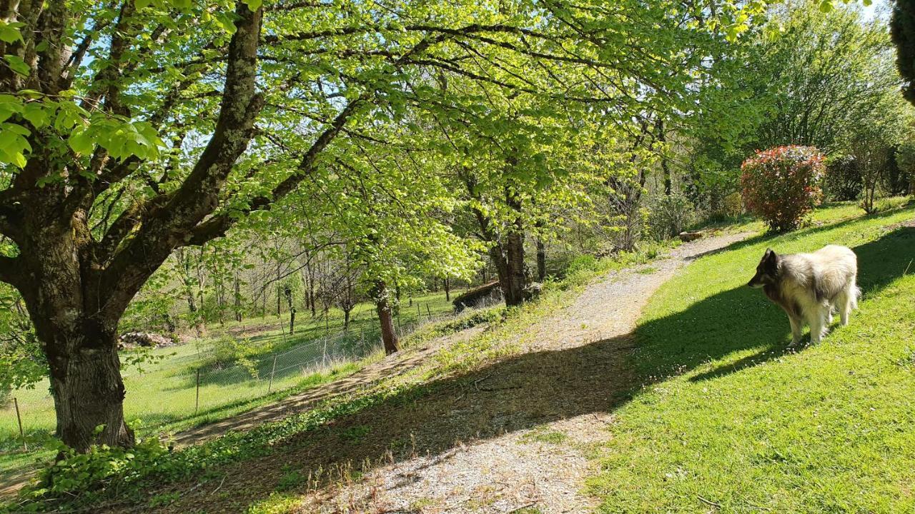 Domaine Du Cardou Hotel Puy-lʼÉvêque Kültér fotó