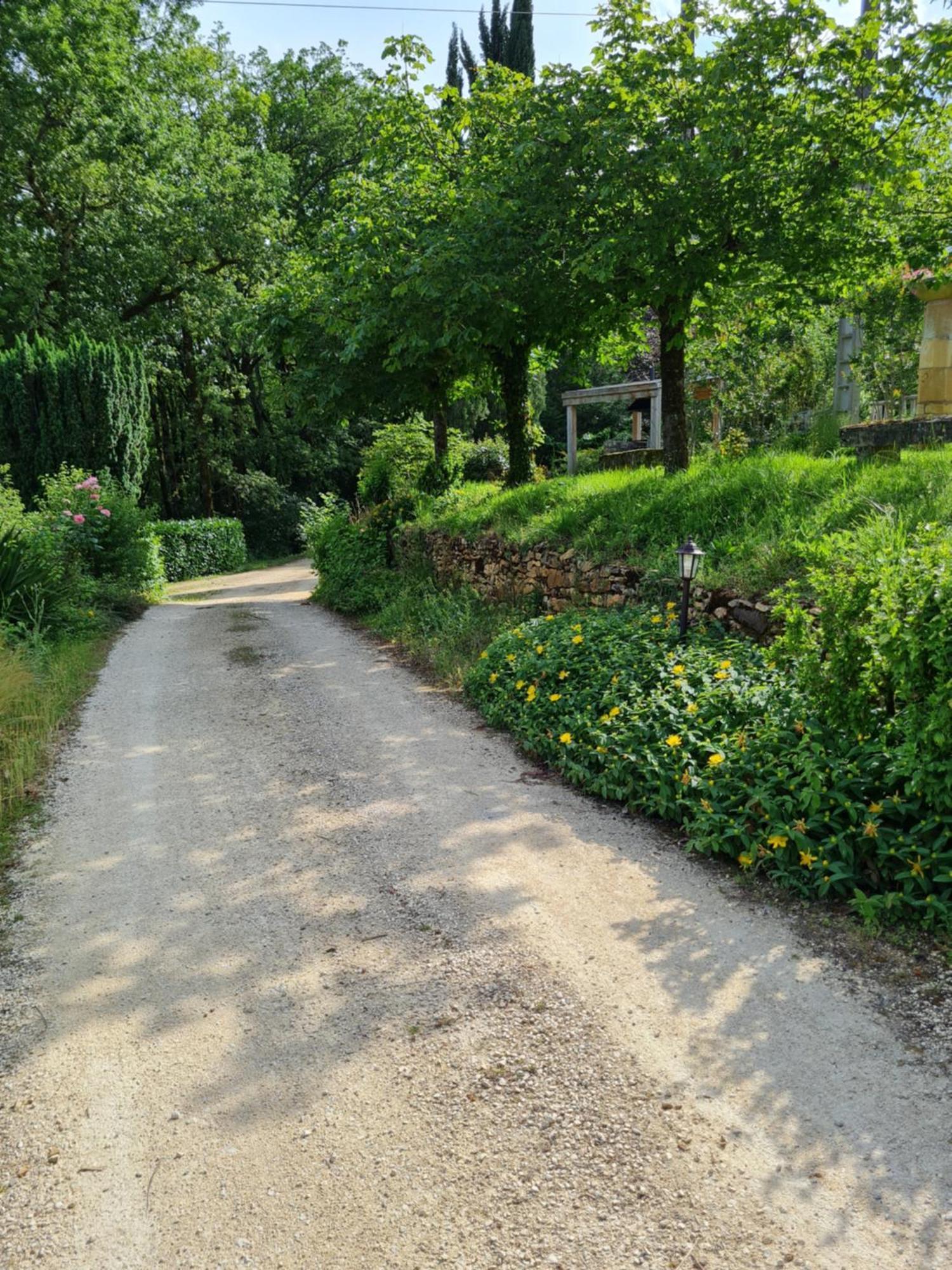 Domaine Du Cardou Hotel Puy-lʼÉvêque Kültér fotó